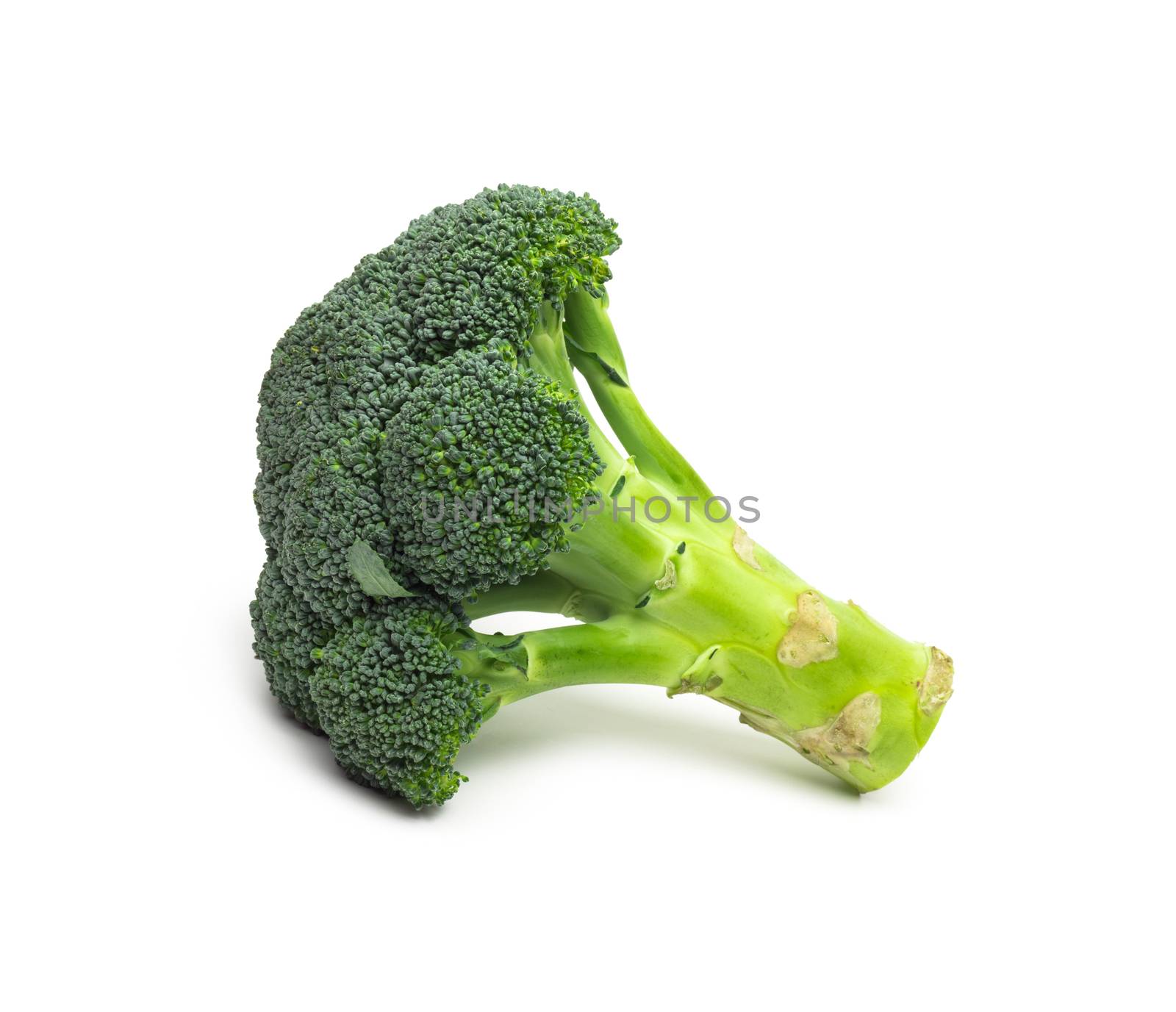 Broccoli isolated on white background