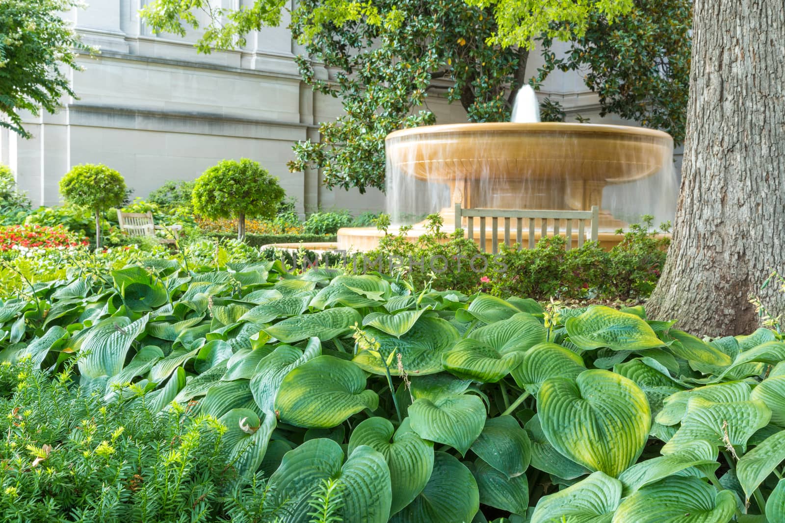 A beautiful water fountain located at the National Mall in Washington DC