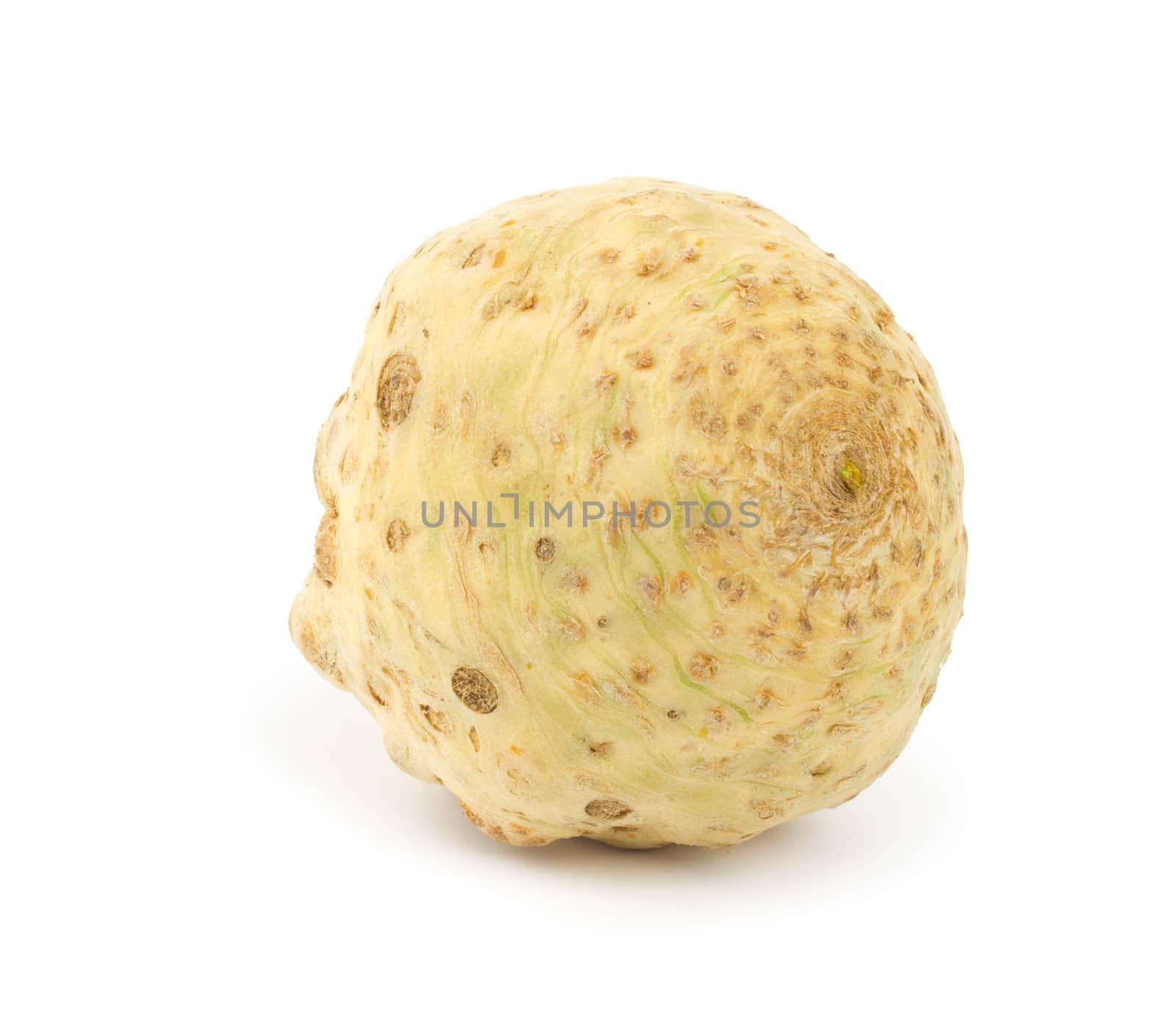 Celery root isolated on white background.