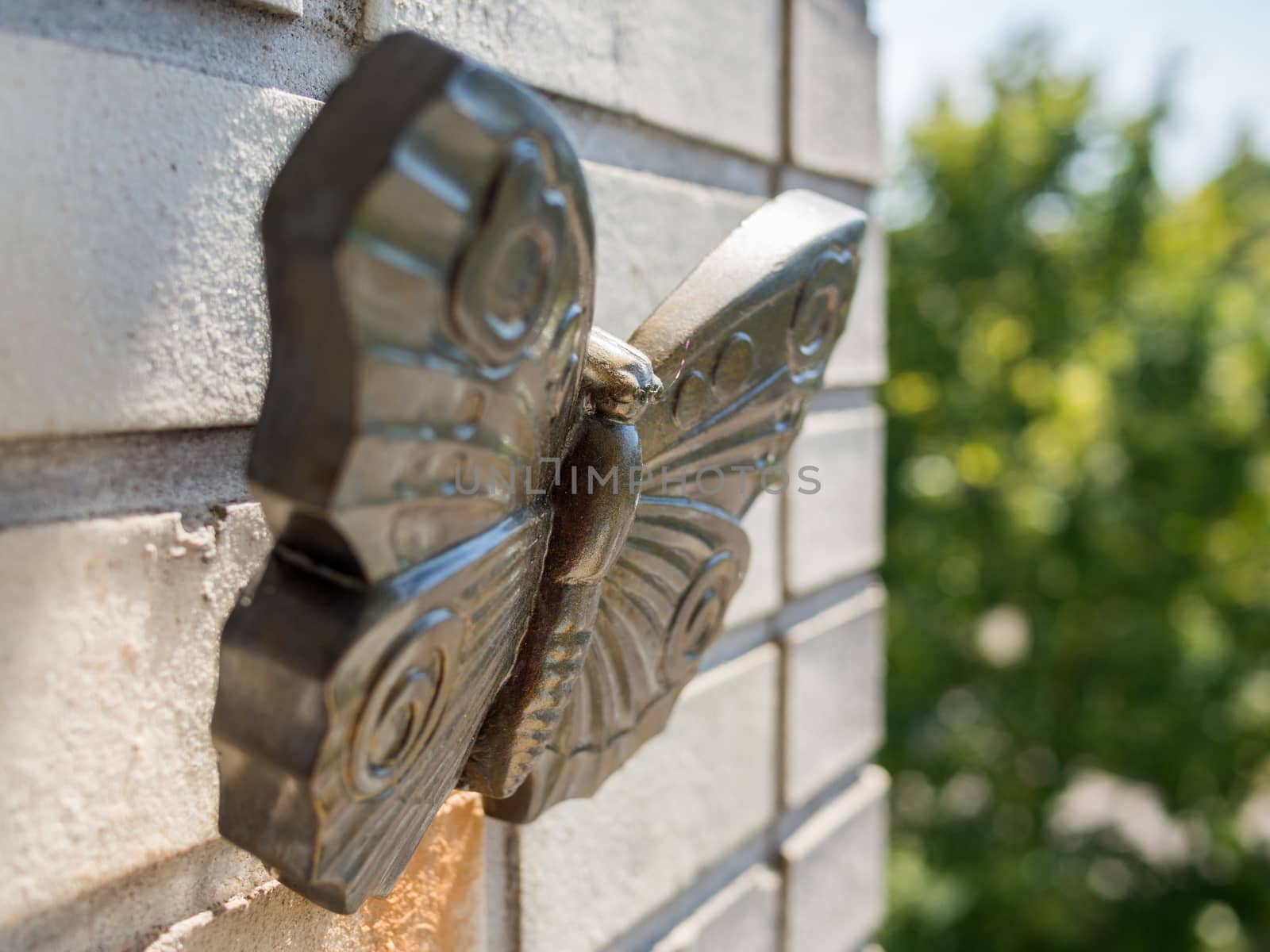 Bronze butterfly on wall by frankhoekzema