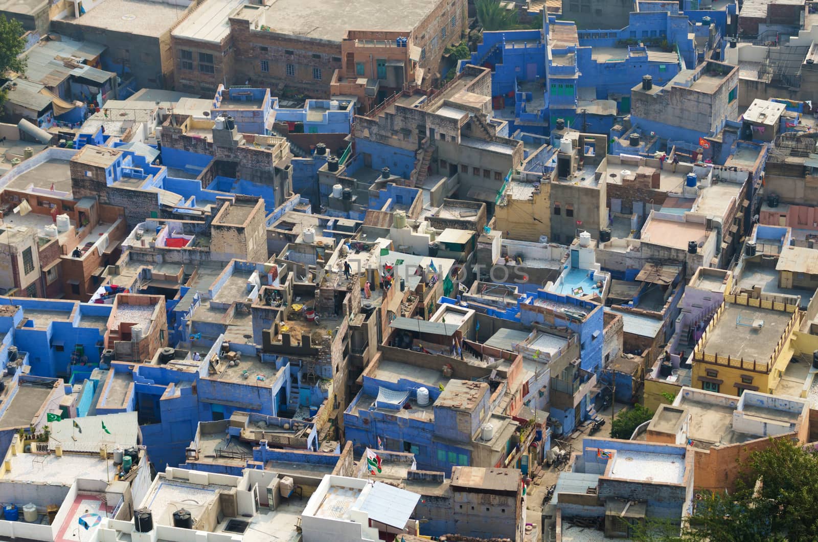 Famous blue city in Jodhpur, Rajasthan, India. 