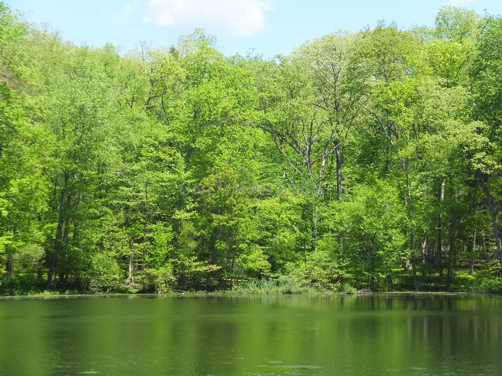 Twin Lakes at Bushkill Falls in Pennsylvania