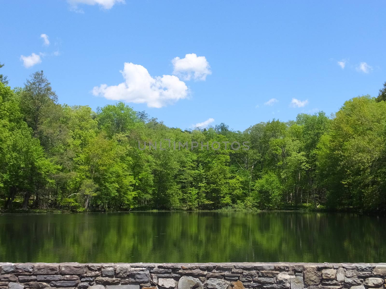 Twin Lakes at Bushkill Falls in Pennsylvania