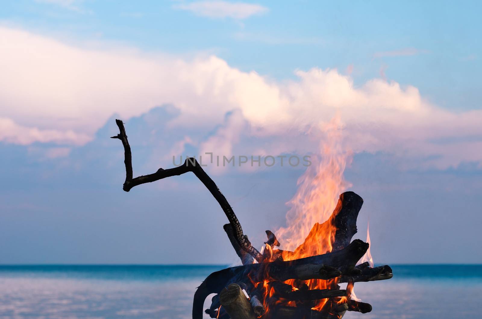 Burning firewood on the seashore