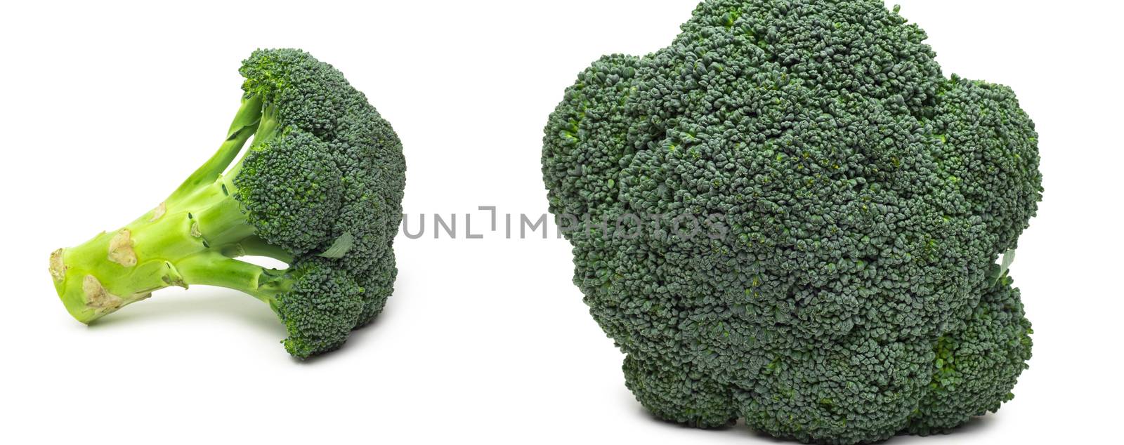 Broccoli isolated on white background by ozaiachin
