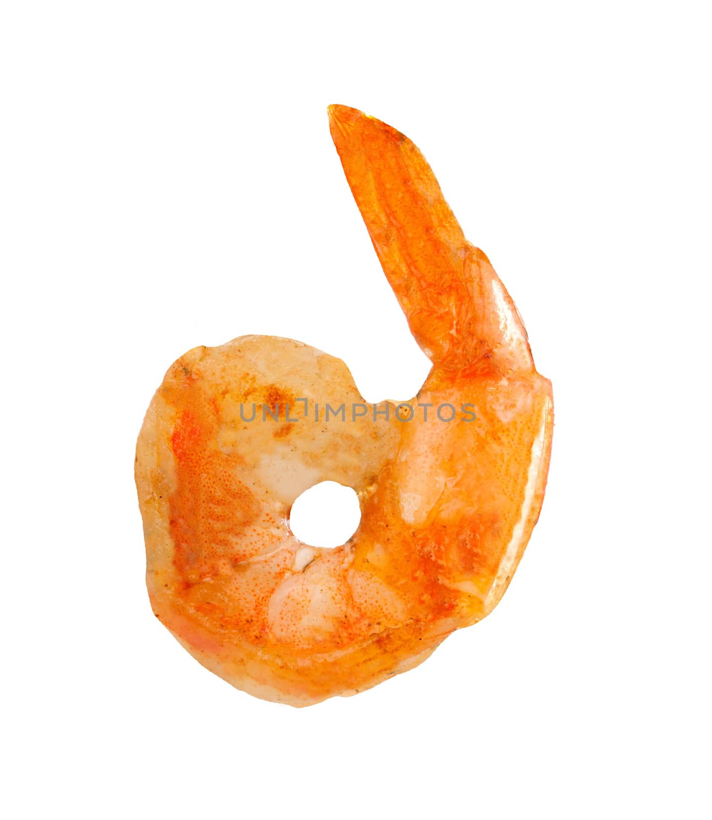 Cooked shrimp isolated