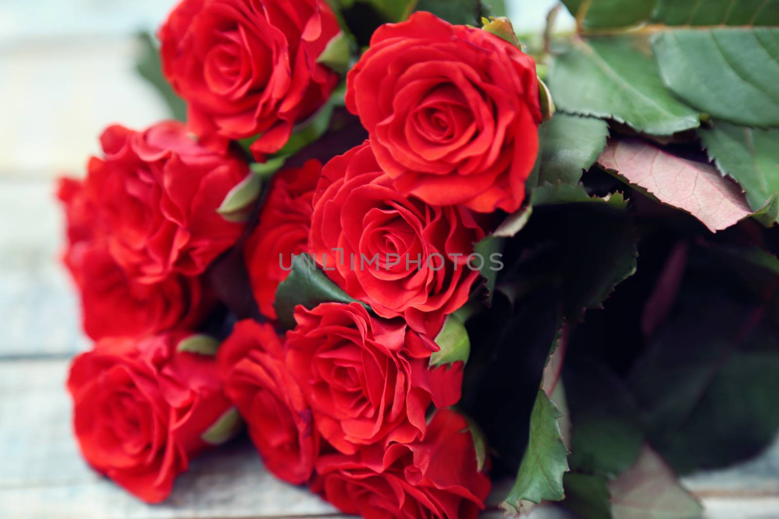 beautyful fresh red roses on wooden background