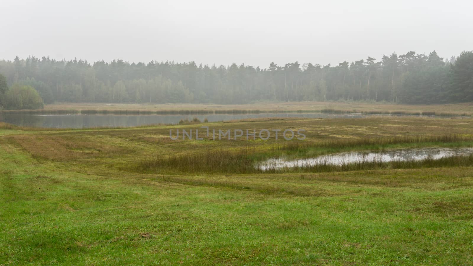 Wet open dutch landscape by frankhoekzema