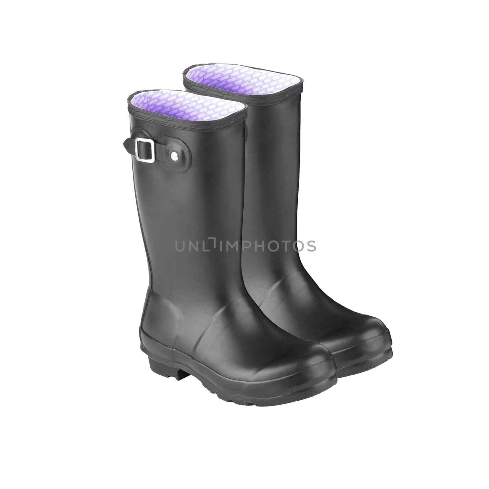 Gum Boot isolated against a white background by ozaiachin