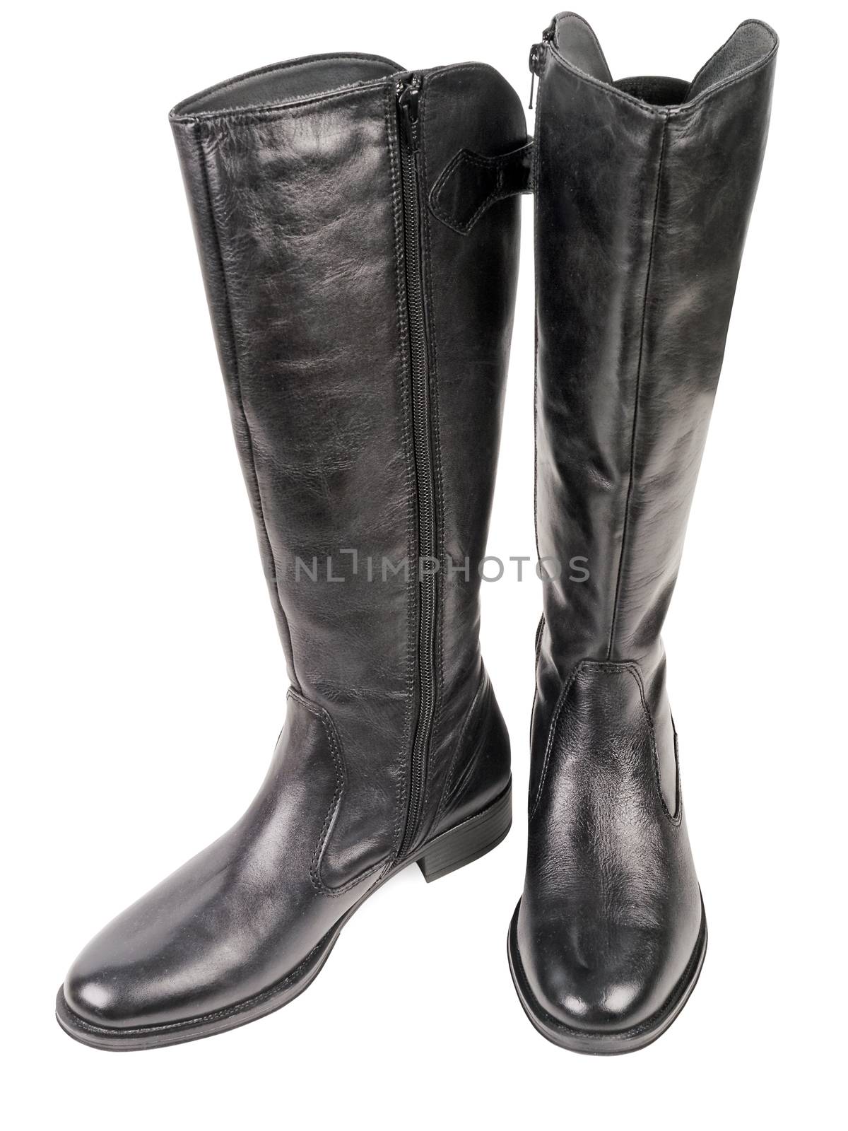 female high boots isolated on white background, studio shot