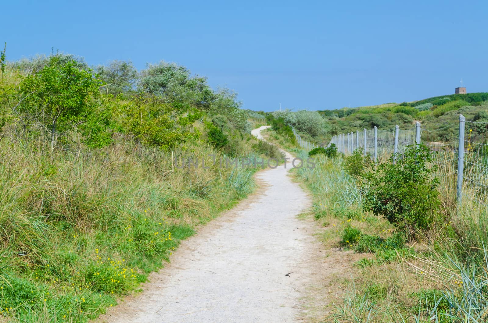 A path through a landscape of dunes towards the sea.