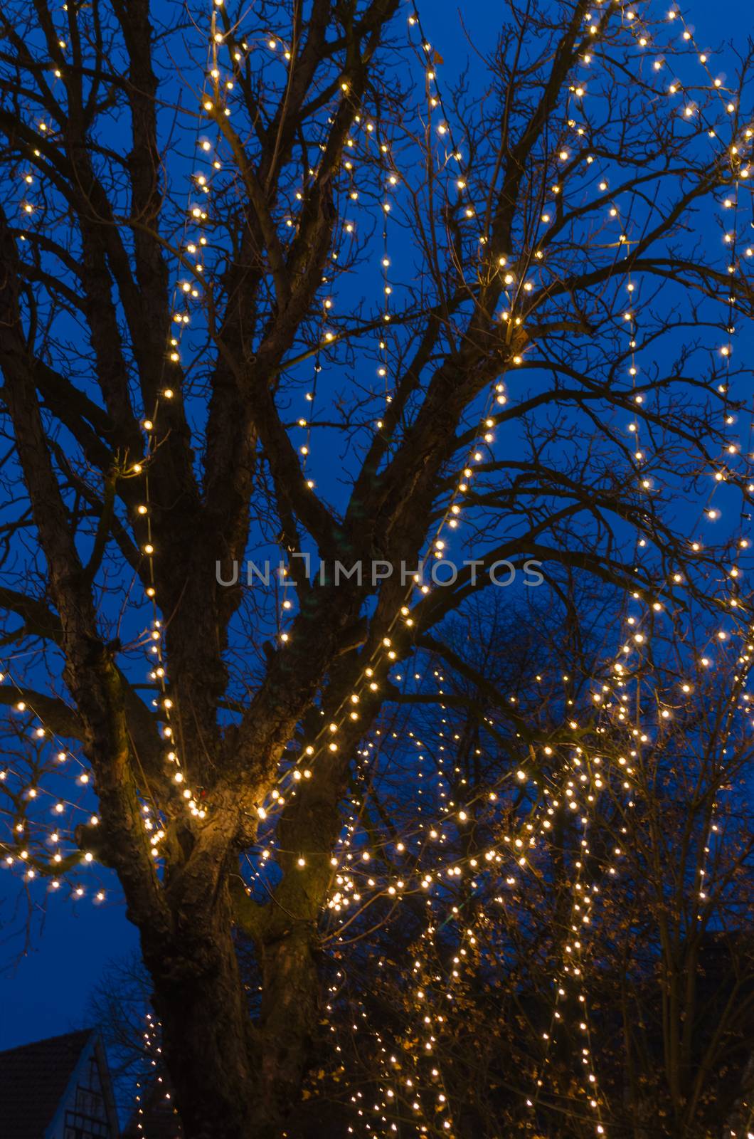 Tree with fairy lights by JFsPic
