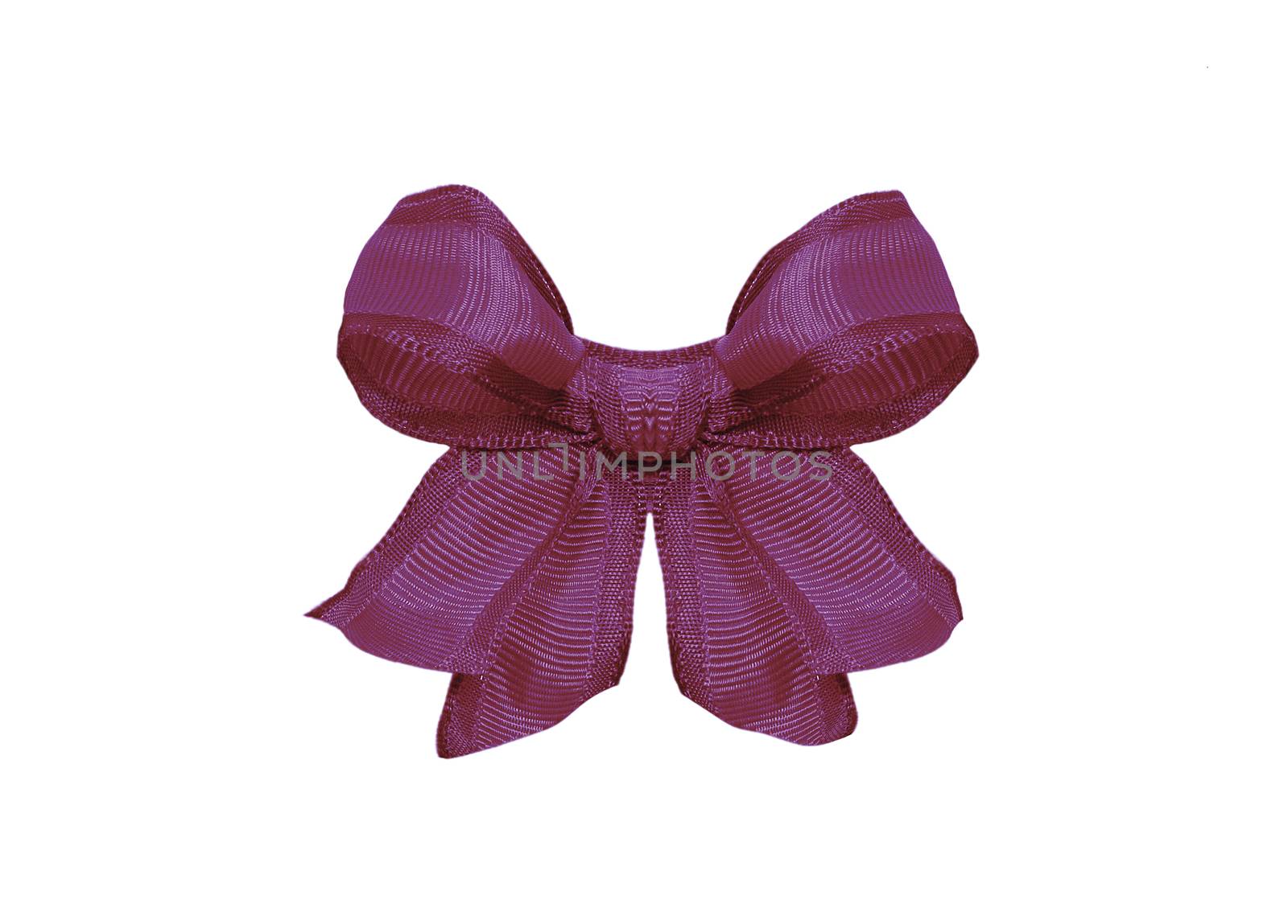 purple bow isolated