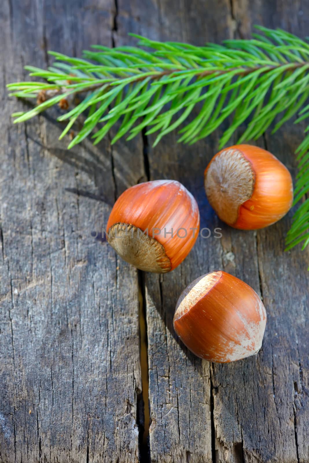Hazelnuts isolated on a table wood  background