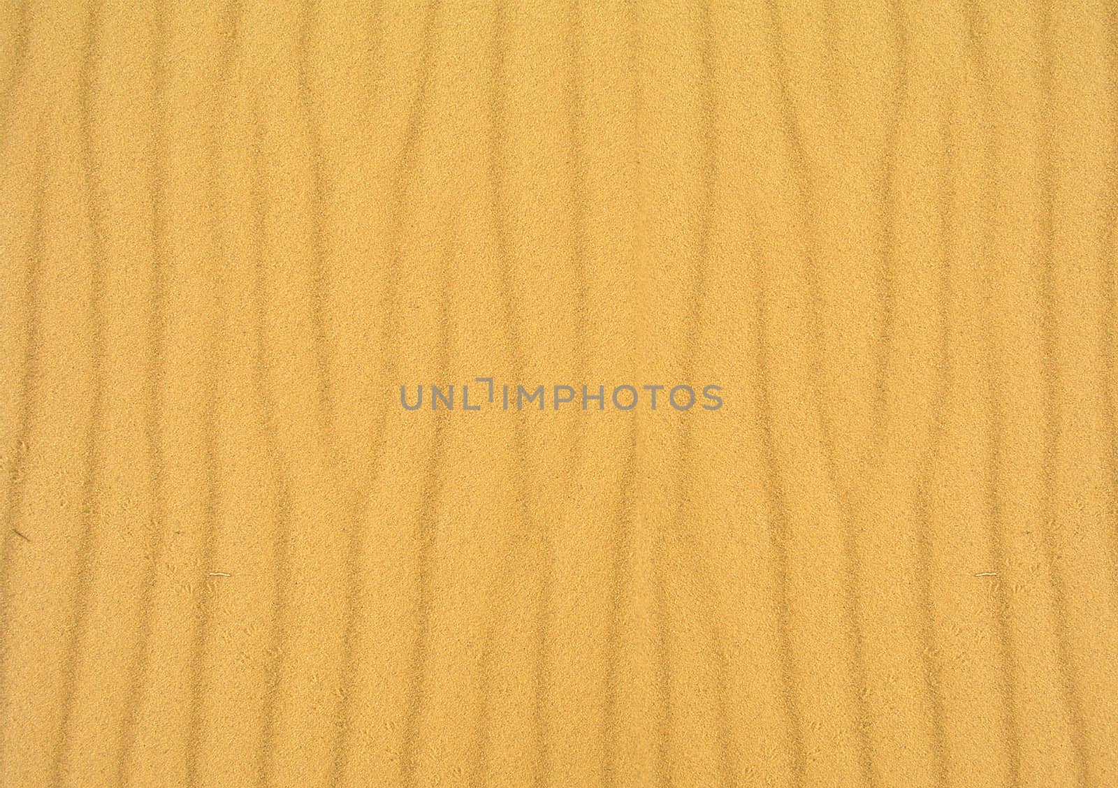 Sand texture