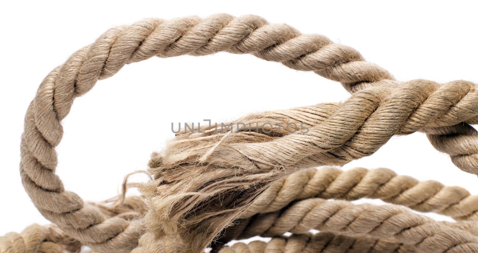 ship rope and knot isolated on white background