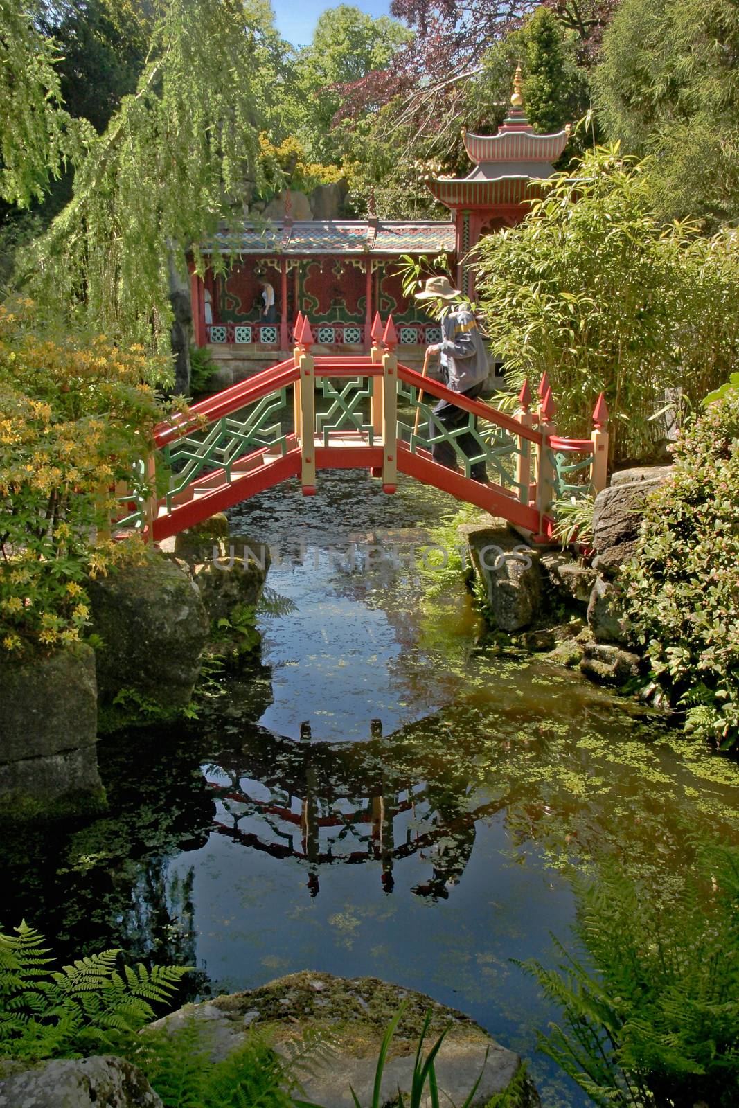 A Chinese inspired garden at Biddulph Grange in Staffordshire, England.