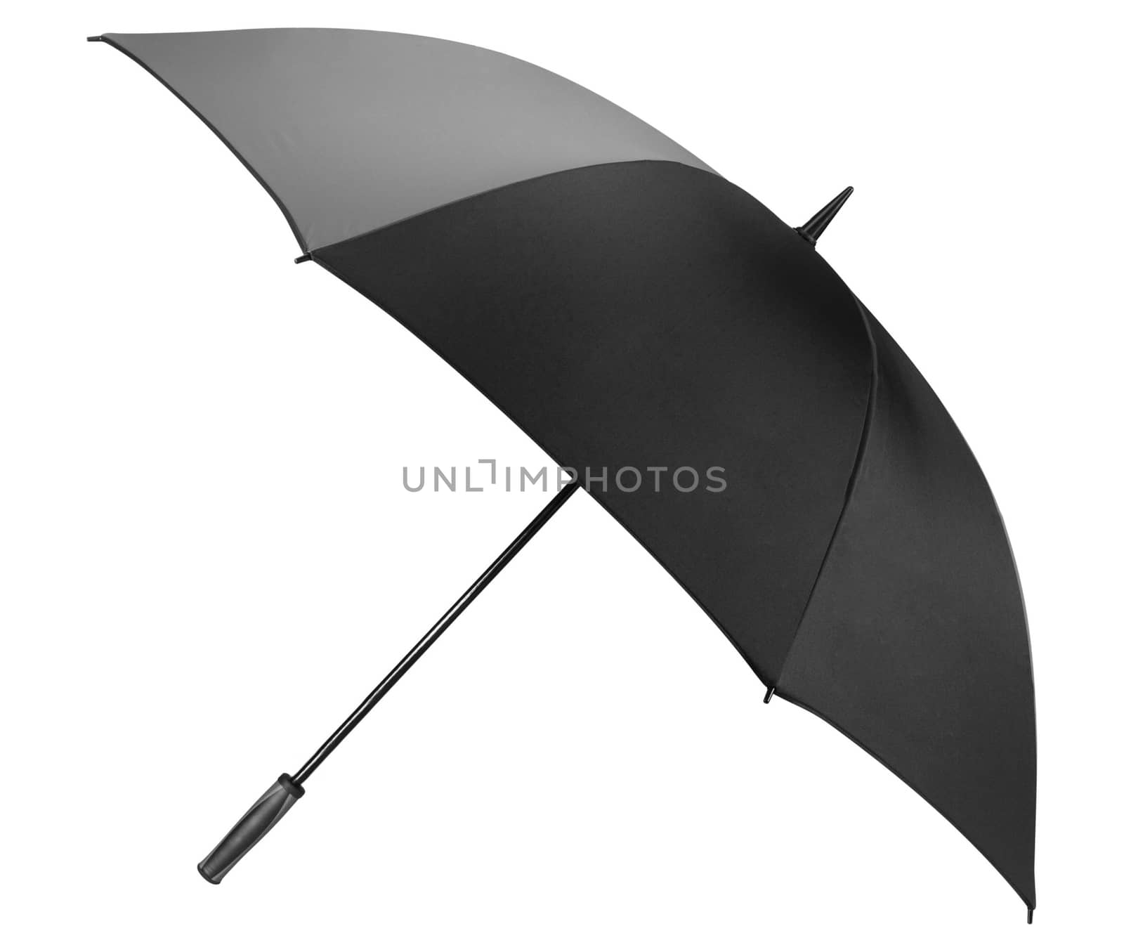 Umbrella