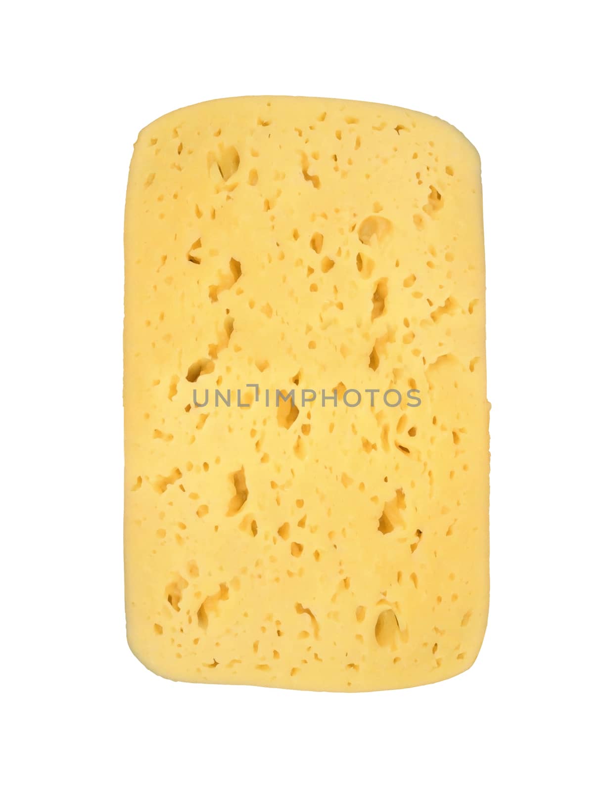 piece of cheese isolated on a white background