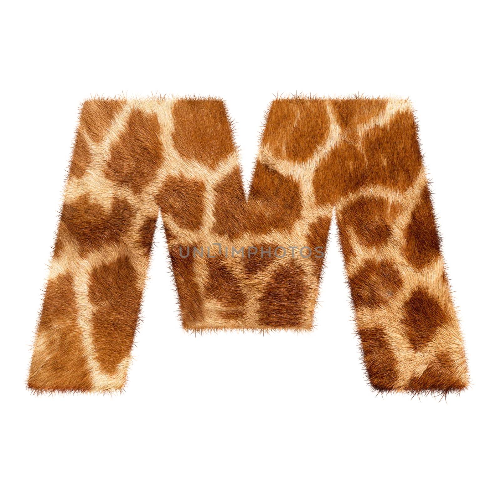 Letter from giraffe style fur alphabet. Isolated on white background. With clipping path. 