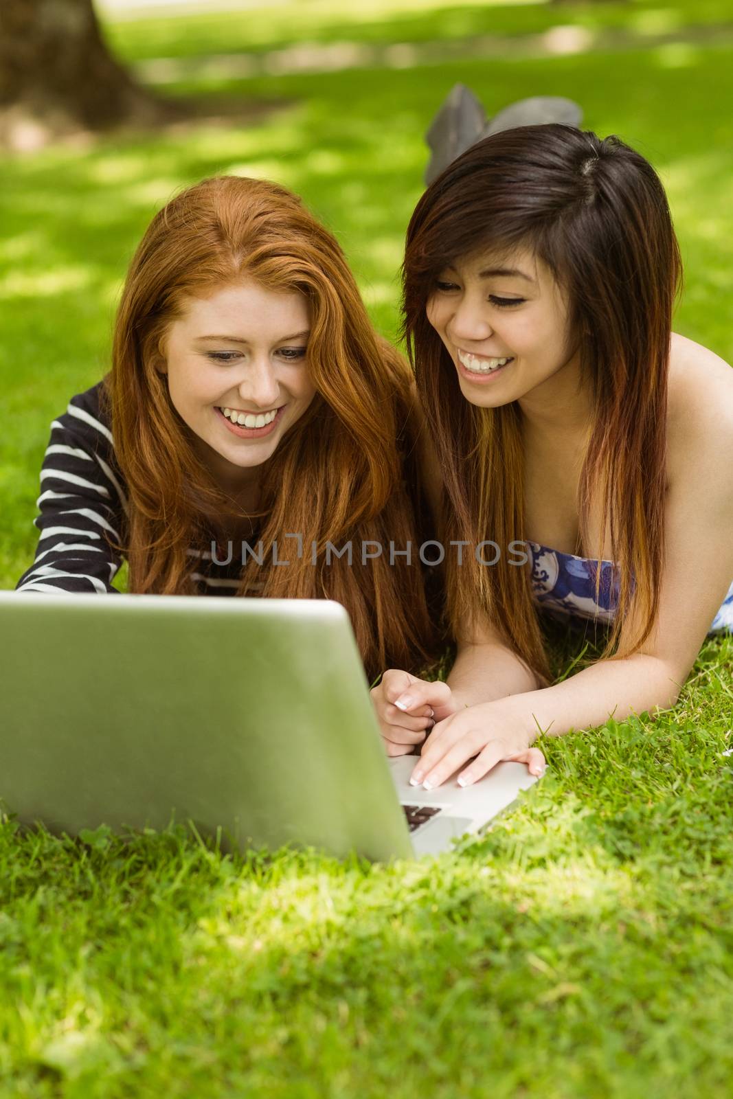 Happy relaxed young women using laptop in the park