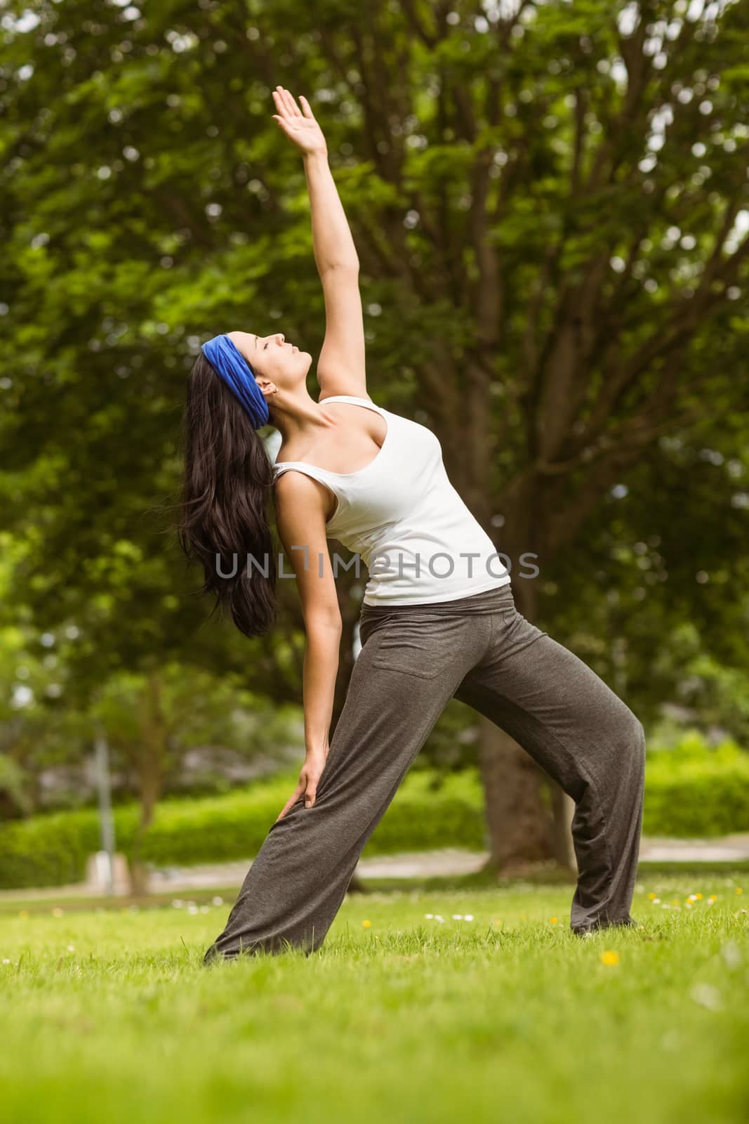 Cheerful brown hair doing yoga on grass in the park