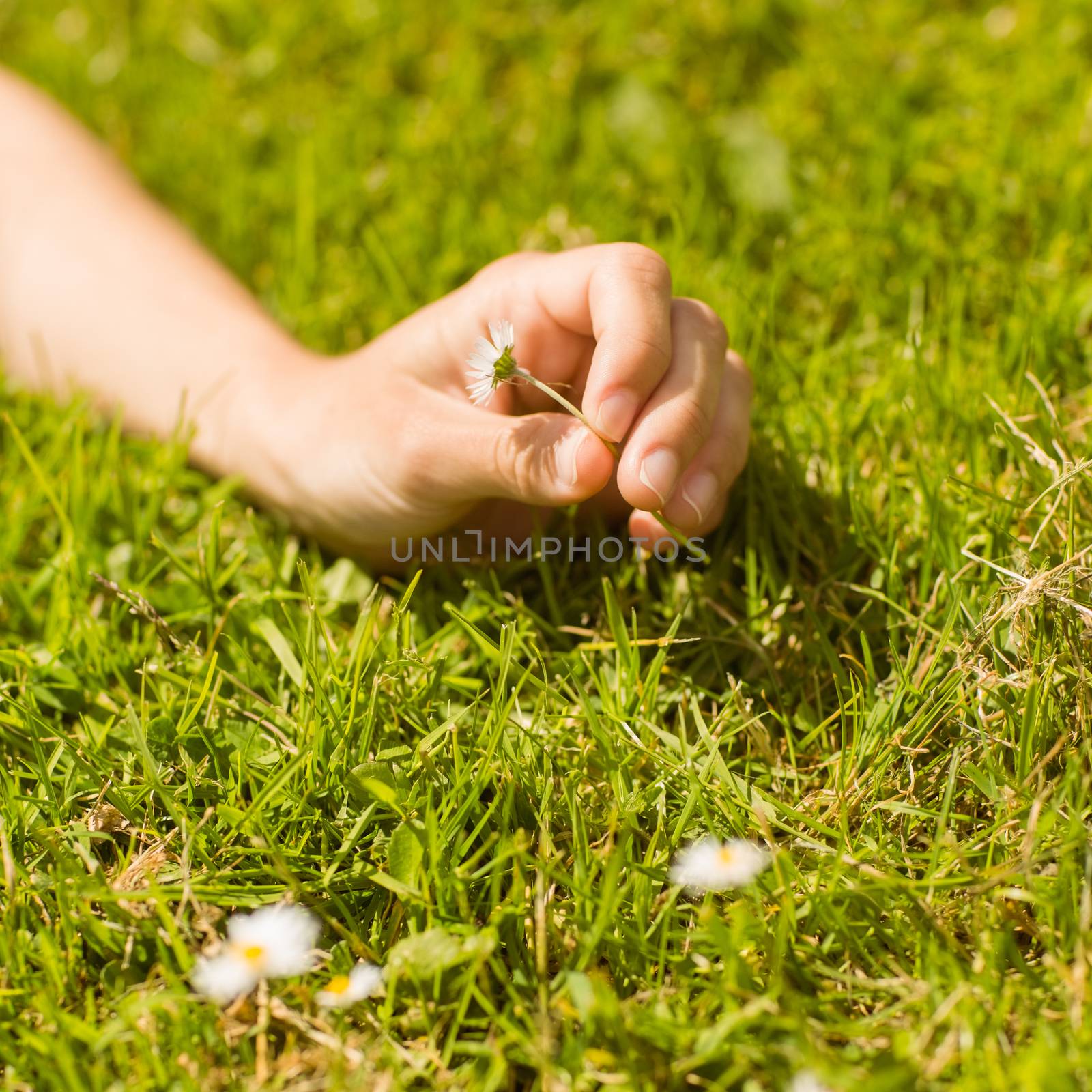 Close up of a pretty redhead holding daisy on grass in summer