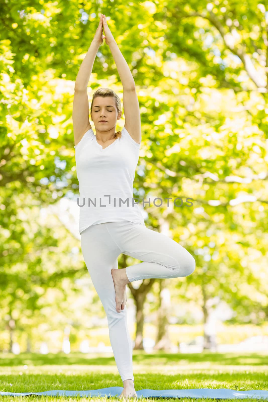 Peaceful blonde doing yoga in the park on a sunny day