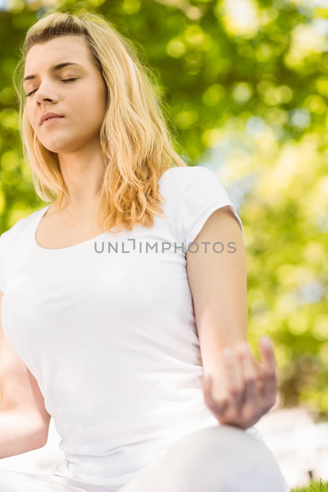 Peaceful blonde doing yoga in the park on a sunny day