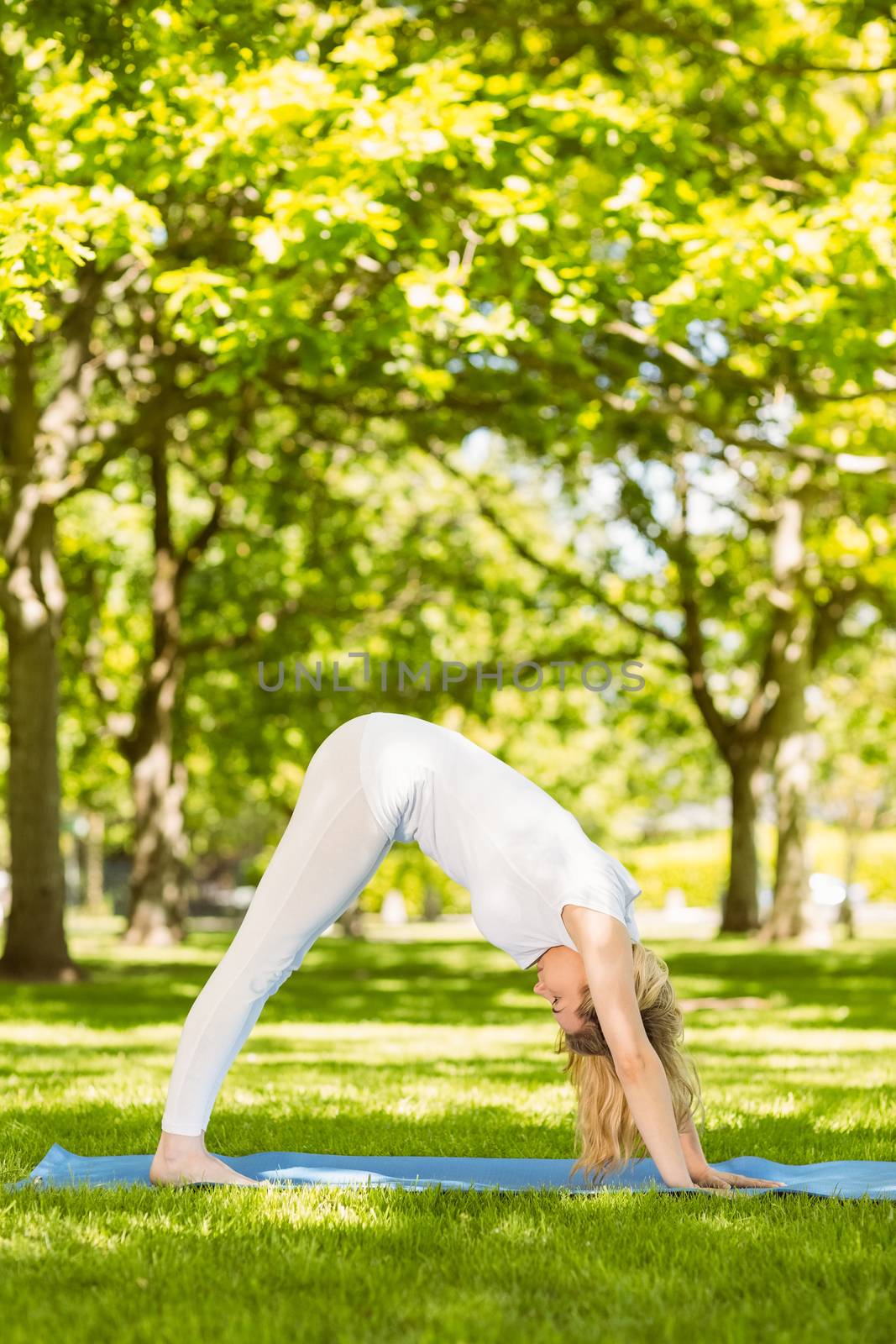 Peaceful blonde doing yoga in the park on a sunny day