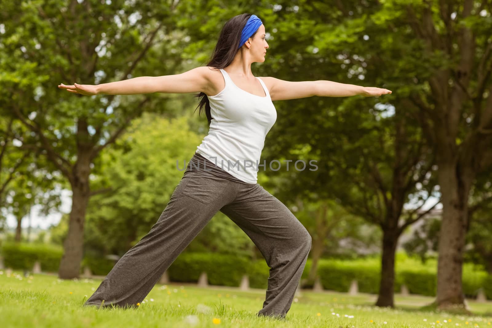 Peaceful brunette doing yoga on grass by Wavebreakmedia