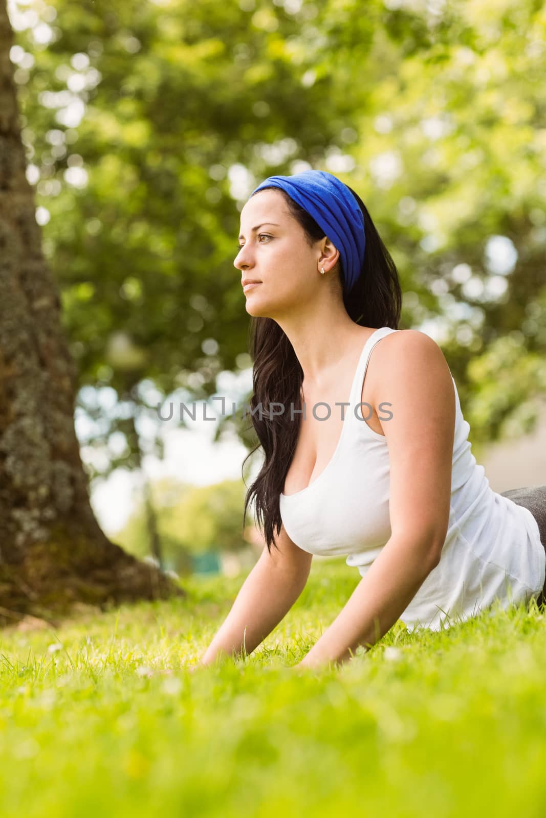 Peaceful brunette doing yoga on grass by Wavebreakmedia