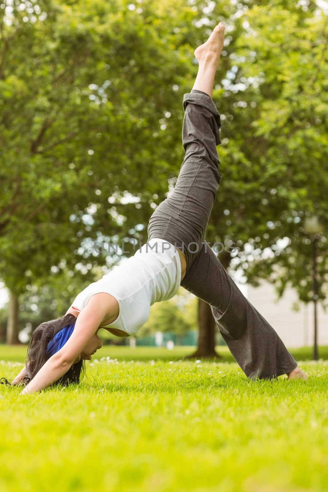 Peaceful brown hair doing yoga on grass in the park