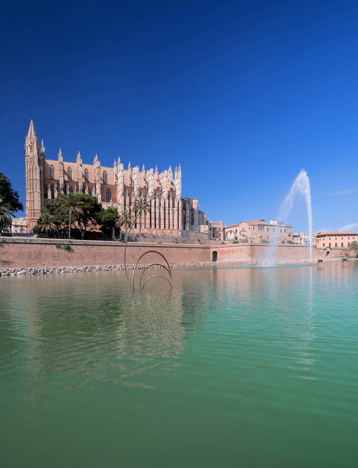 the cathedral of Palma de Mallorca vertical at summer day by Nanisimova