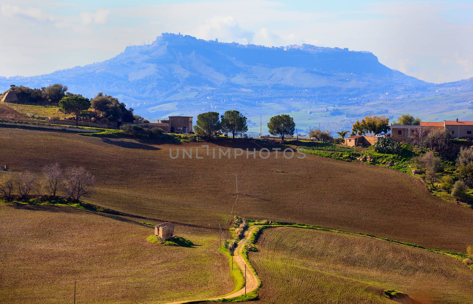 View of plowed field in the Leonforte countryside, Sicily