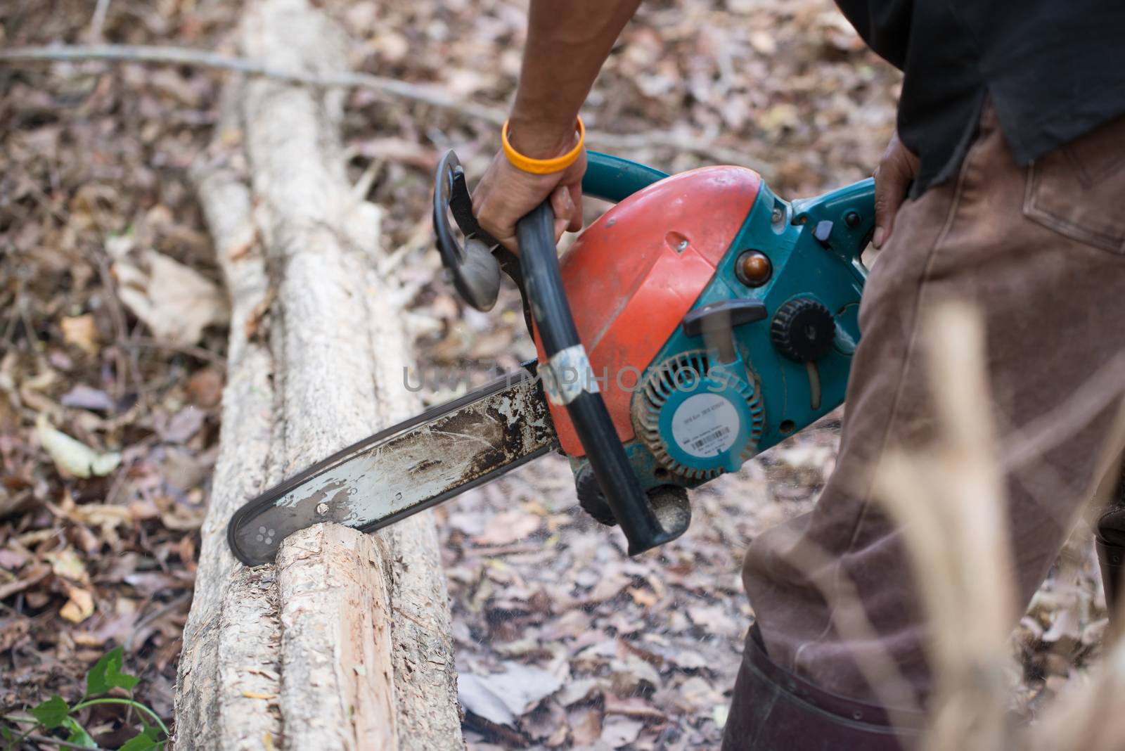  man cutting the log of wood with chainsaw