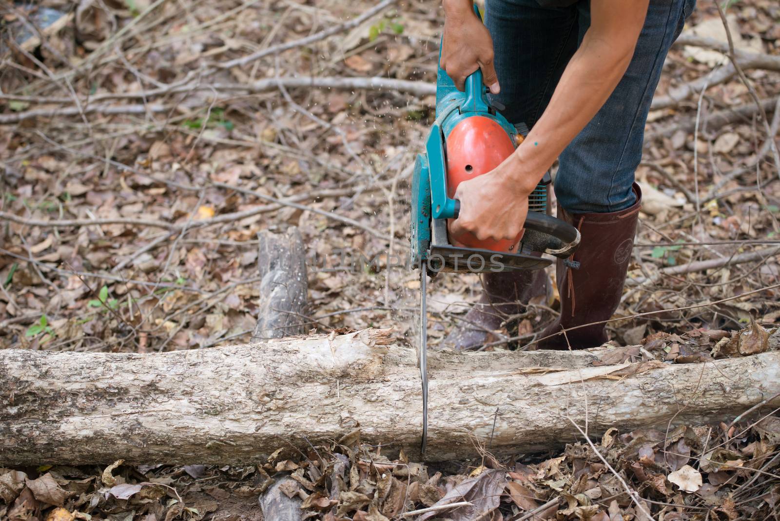  man cutting the log of wood with chainsaw