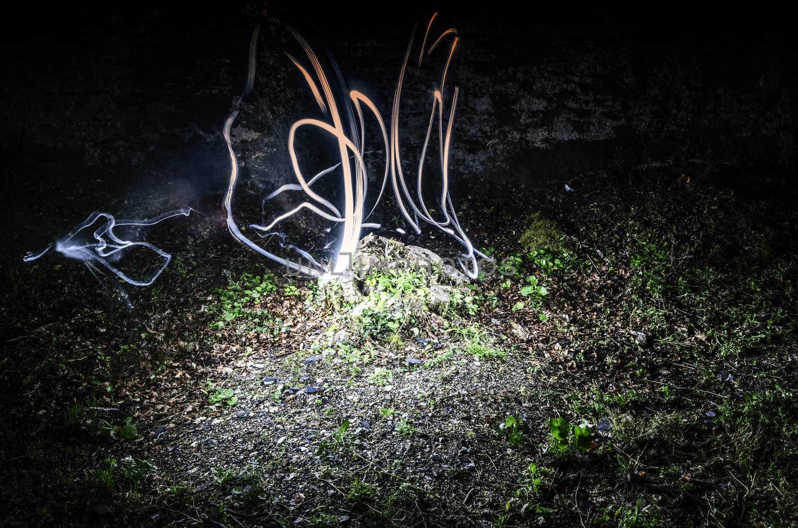 Light painting in the park of navarra in Spain 