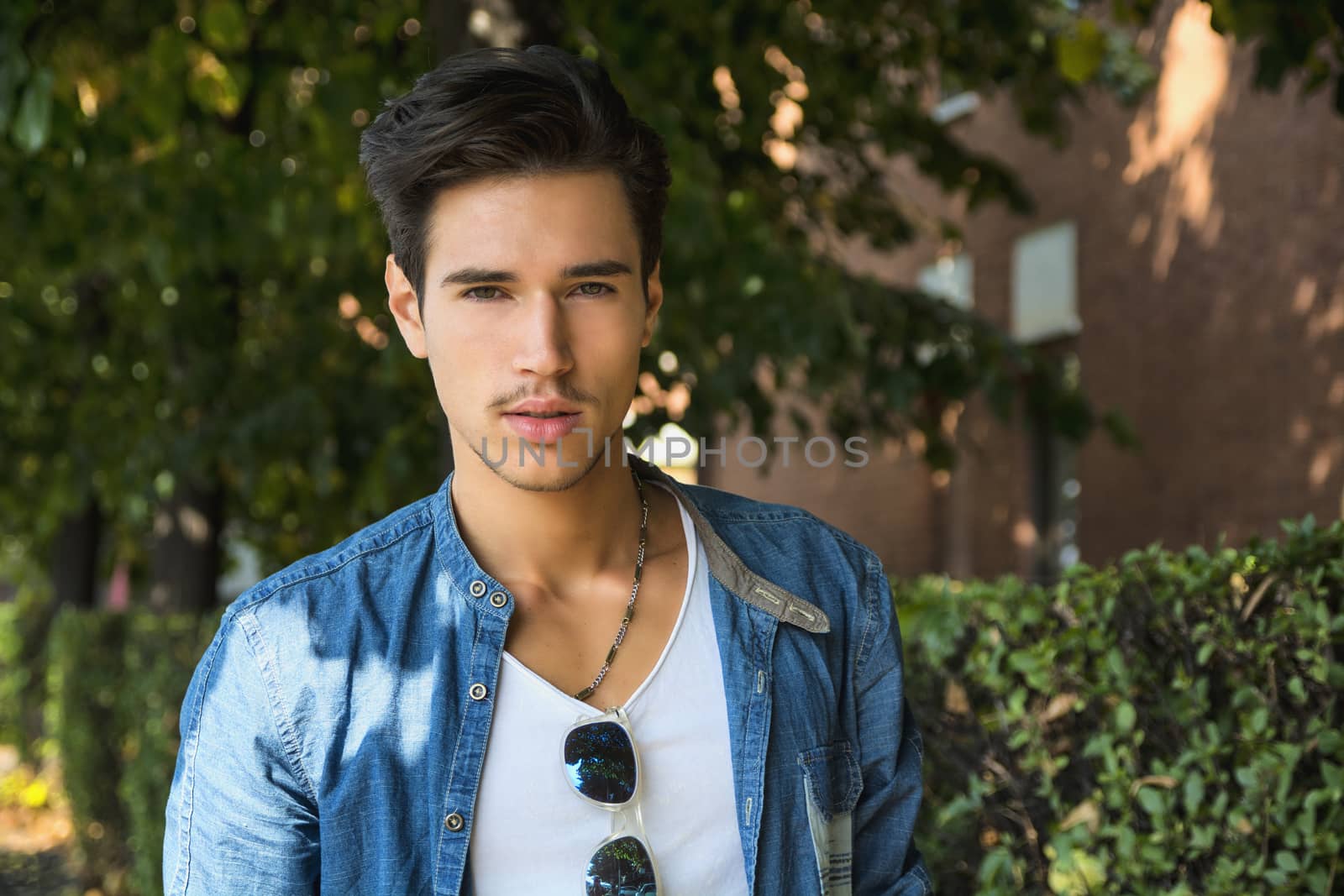 Handsome young man's portrait outdoor under tree in urban setting during summer, looking at camera.