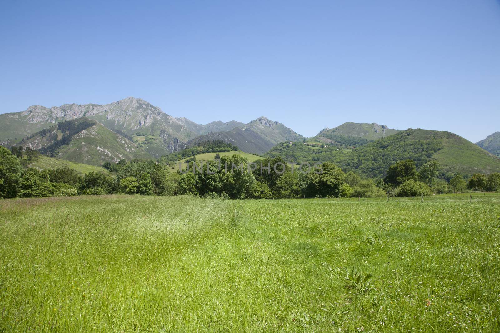 landscape green countryside valley and mountain next to Cangas de Onis Asturias Spain Europe