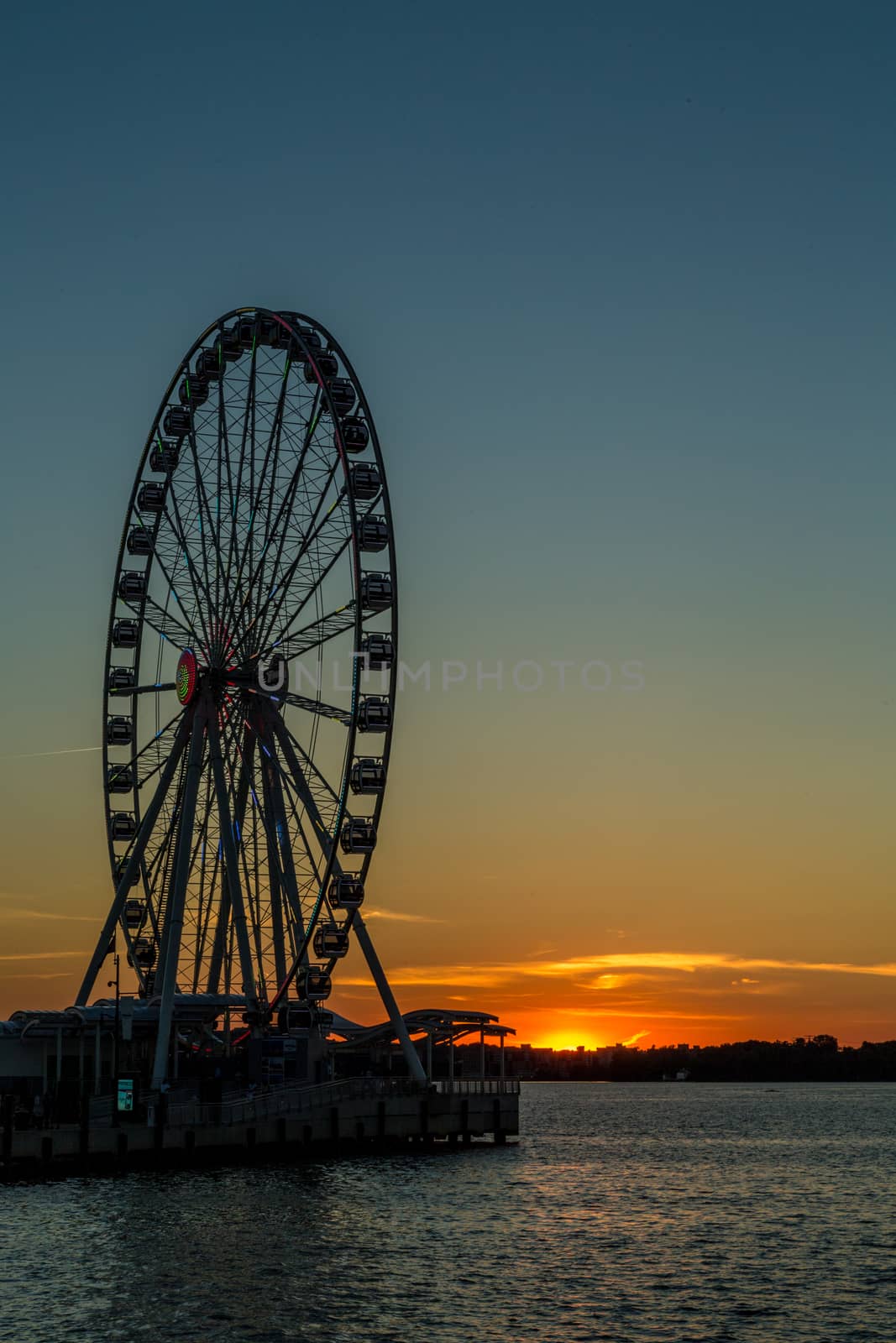 The Capital Wheel at National Harbor by derejeb