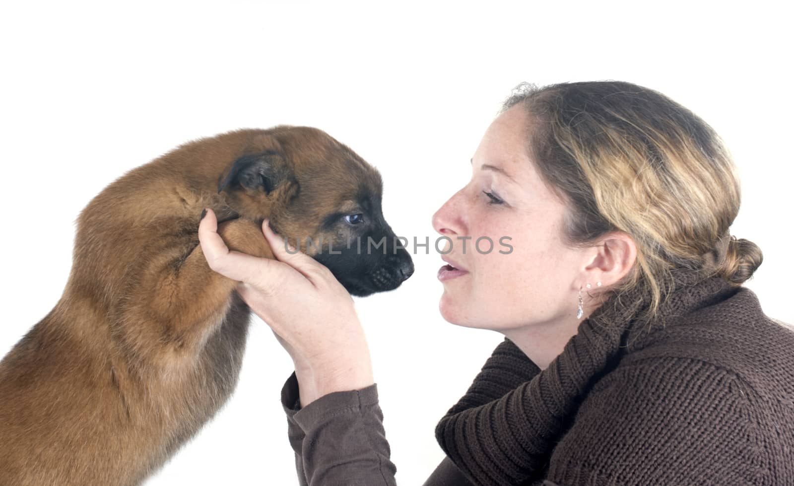 puppy malinois and woman by cynoclub