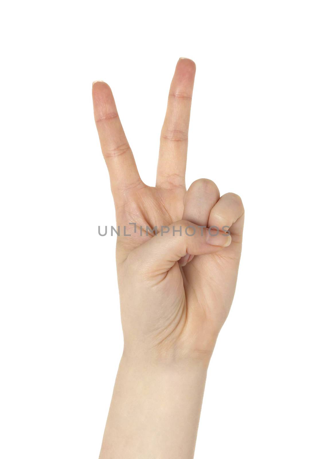 Hand with two fingers up in the peace or victory symbol. Also the sign for the letter V in sign language. Isolated on white.