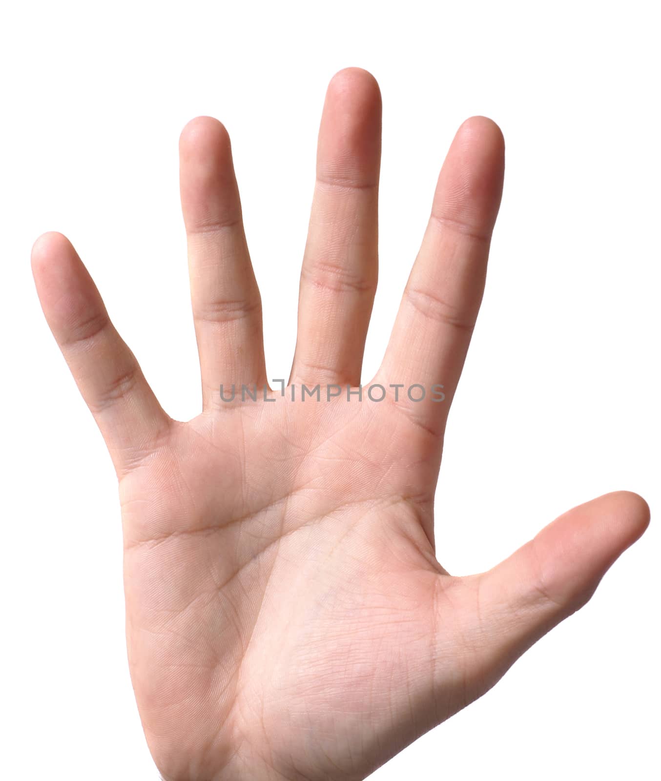 hand symbol that means five on white background