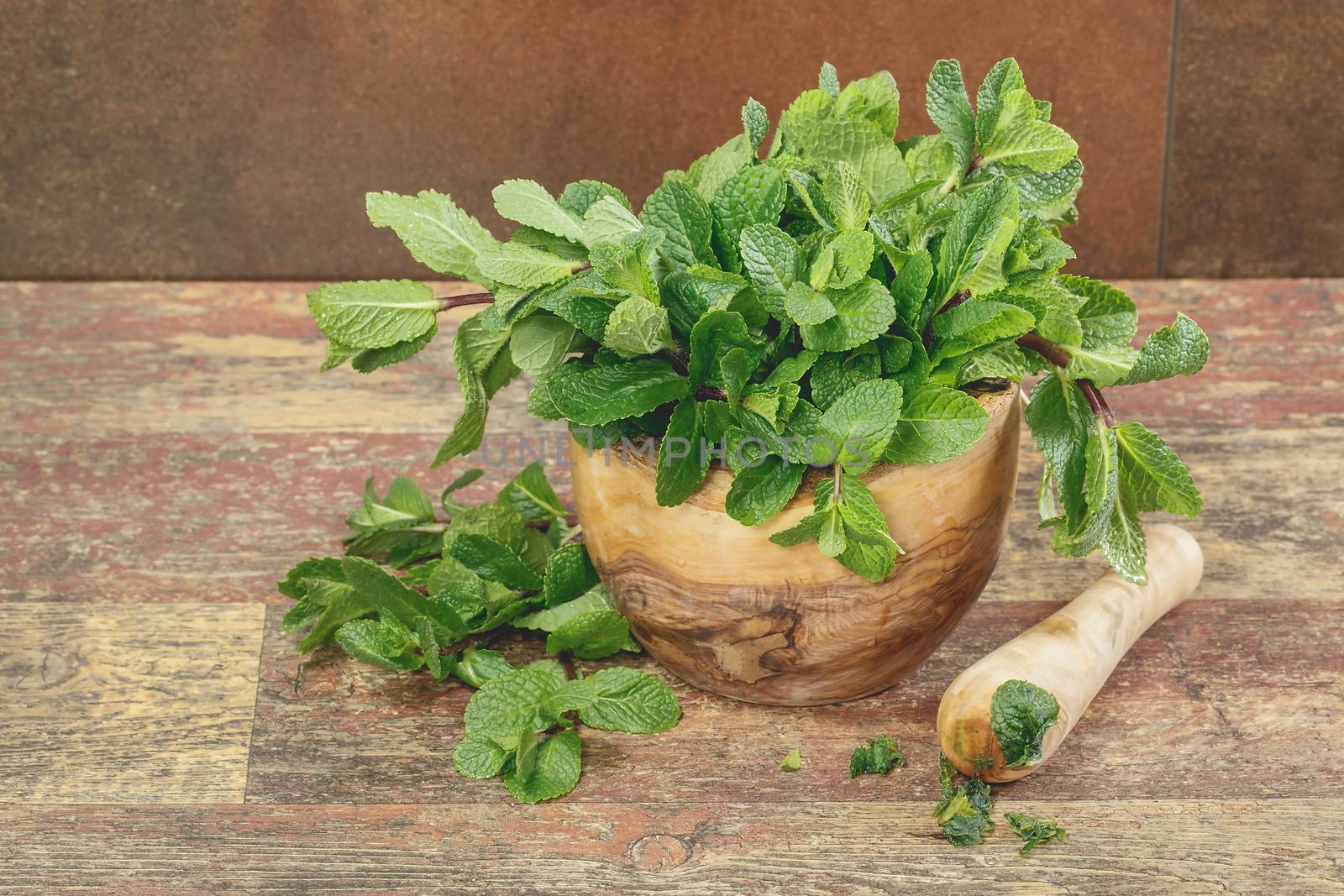 Fresh green mint in mortar on rustic wooden background. Copy space composition. Macro, selective focus