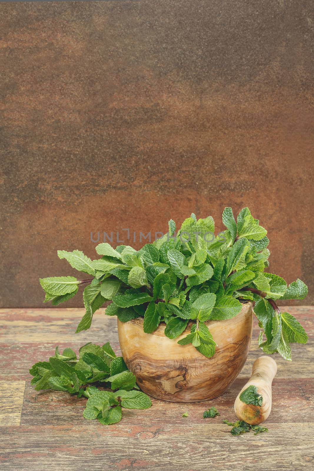 Mortar with fresh mint leaves by Slast20