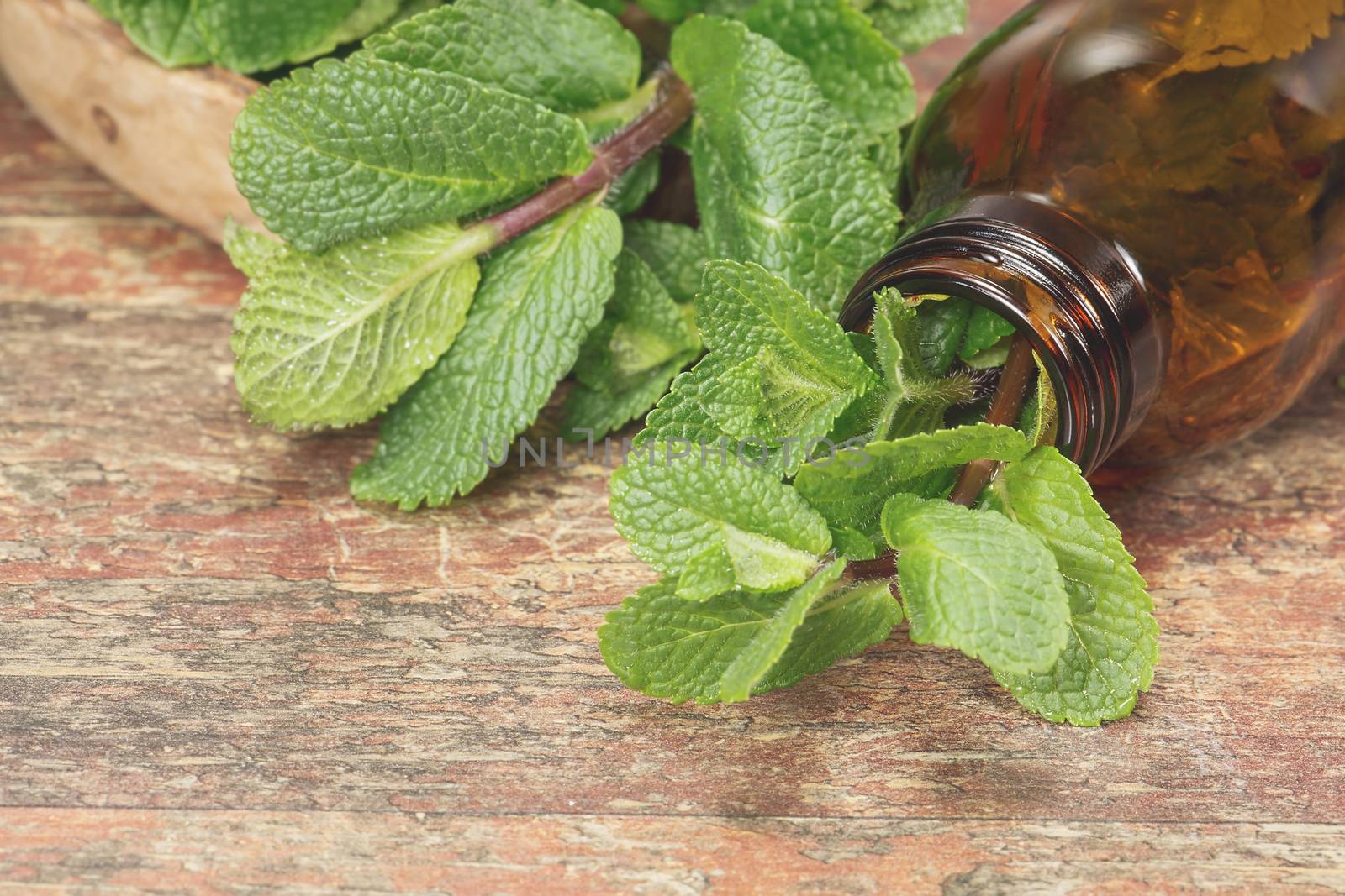 Fresh mint herb and Essential mint oil in a dark glass bottle with copy space for your text. A macro photograph with shallow depth of field