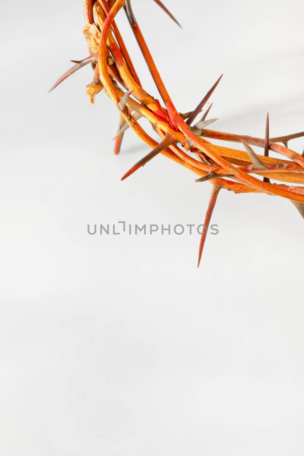 crown made of thorns isolated on white background