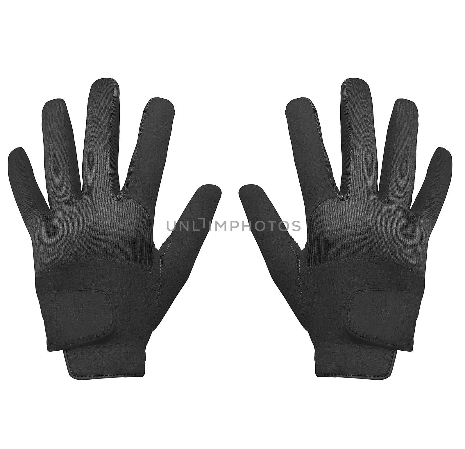 Sport glove on white background