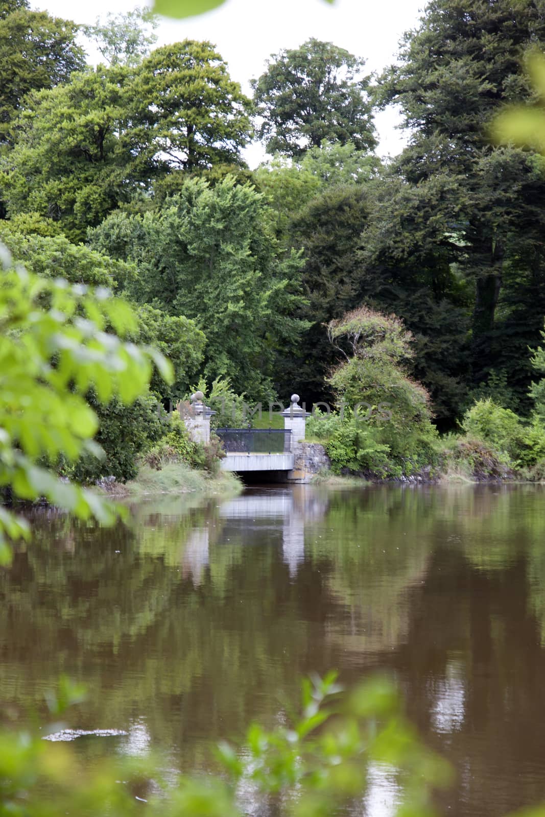 stone bridge in the Ballynatray estate by morrbyte